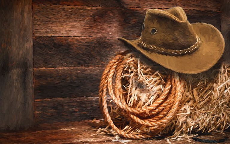 400+ ultimate list of cowboy names | Pick your favorite